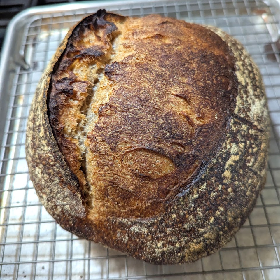 BREAD FOLK